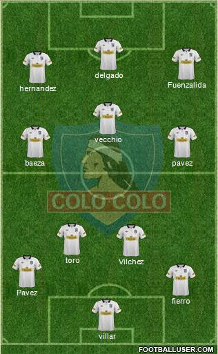 CSD Colo Colo Formation 2013