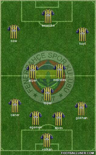 Fenerbahçe SK Formation 2013