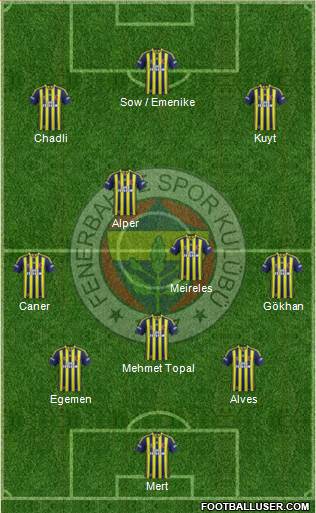 Fenerbahçe SK Formation 2013