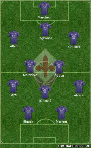 Fiorentina Formation 2013