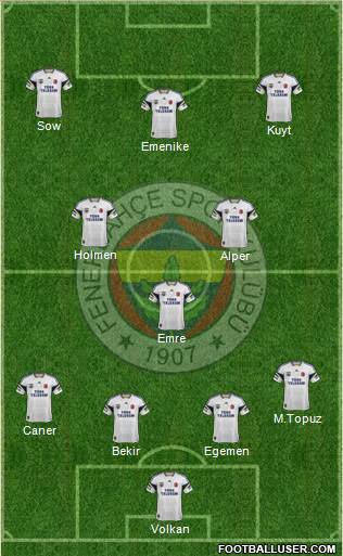 Fenerbahçe SK Formation 2013