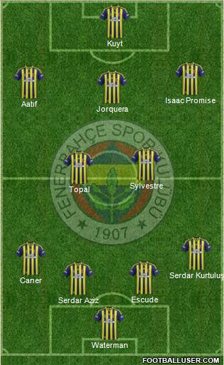 Fenerbahçe SK Formation 2013
