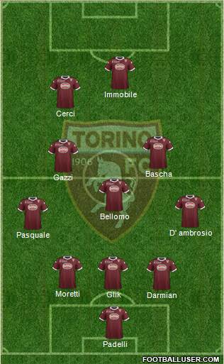 Torino Formation 2013