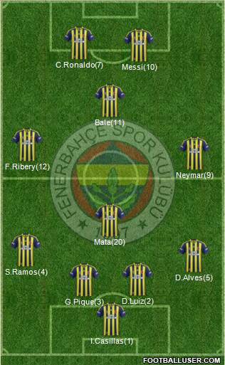 Fenerbahçe SK Formation 2013