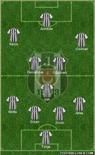 Besiktas JK Formation 2013