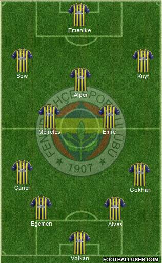 Fenerbahçe SK Formation 2013