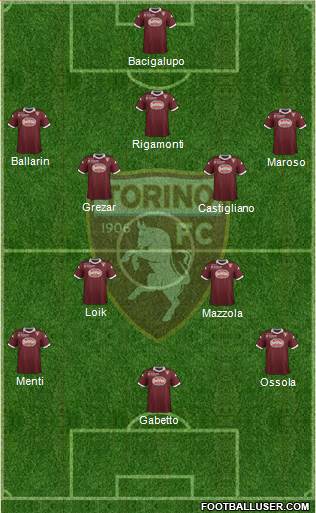 Torino Formation 2013