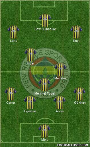 Fenerbahçe SK Formation 2013