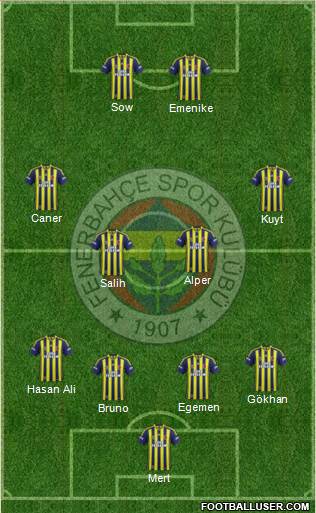 Fenerbahçe SK Formation 2013