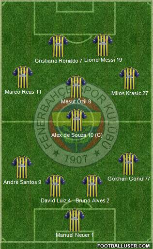 Fenerbahçe SK Formation 2013