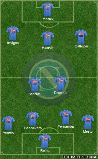 Napoli Formation 2013