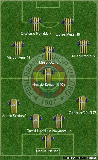 Fenerbahçe SK Formation 2013
