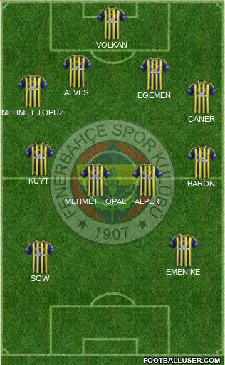 Fenerbahçe SK Formation 2013