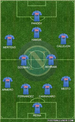 Napoli Formation 2013