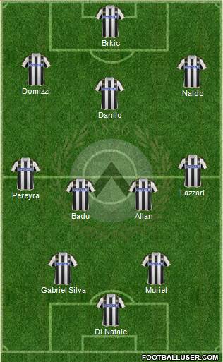 Udinese Formation 2013