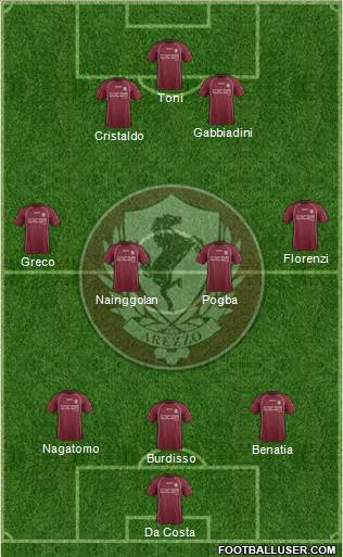Arezzo Formation 2013