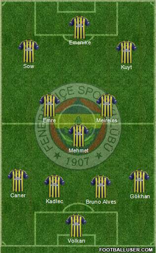 Fenerbahçe SK Formation 2013