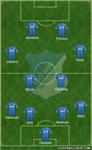 TSG 1899 Hoffenheim Formation 2013