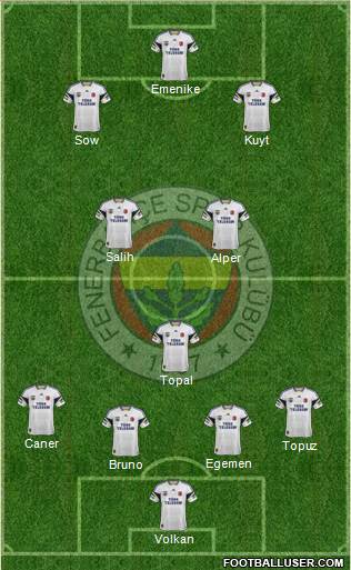 Fenerbahçe SK Formation 2013