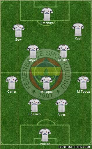 Fenerbahçe SK Formation 2013