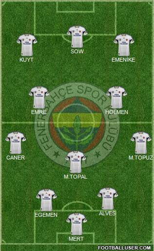 Fenerbahçe SK Formation 2013