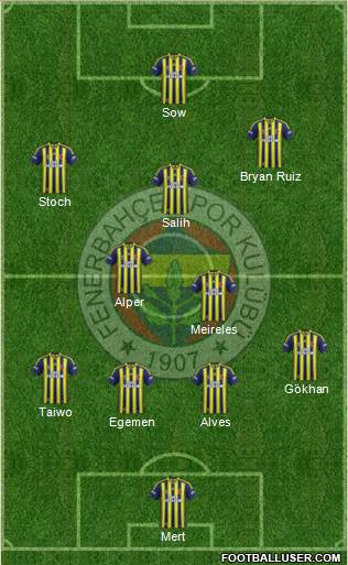 Fenerbahçe SK Formation 2013