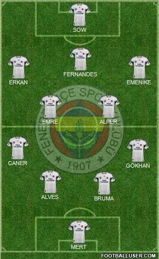 Fenerbahçe SK Formation 2013