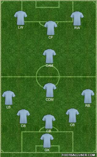 Brighton and Hove Albion Formation 2013