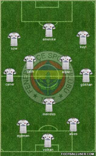 Fenerbahçe SK Formation 2013