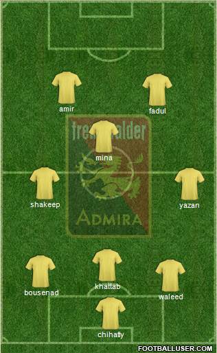 FC Admira Wacker Formation 2013