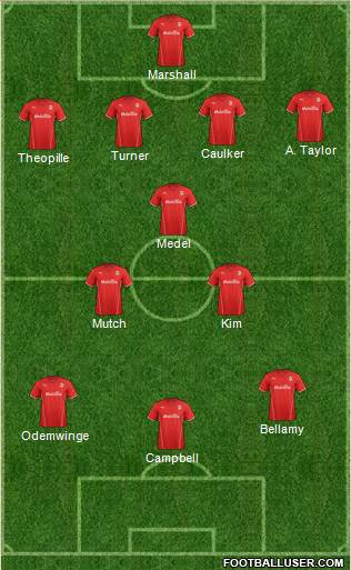 Cardiff City Formation 2013