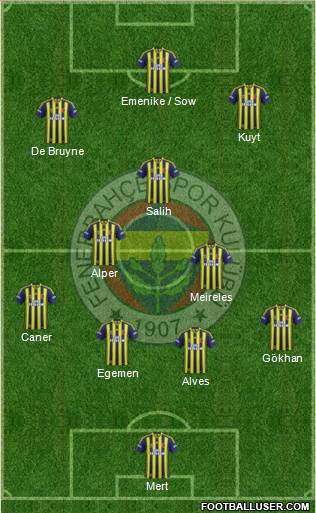 Fenerbahçe SK Formation 2013