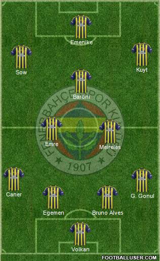 Fenerbahçe SK Formation 2013