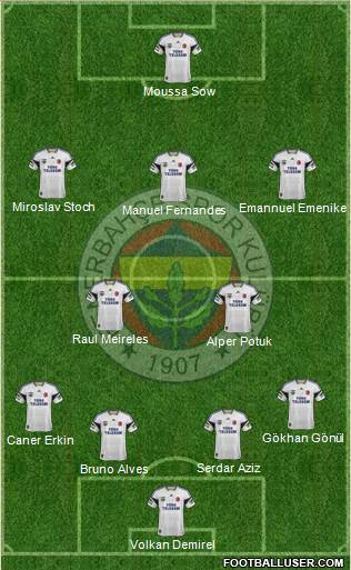 Fenerbahçe SK Formation 2013