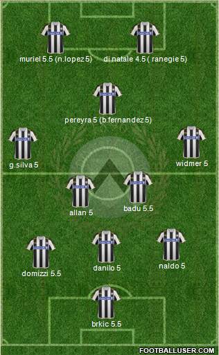 Udinese Formation 2013