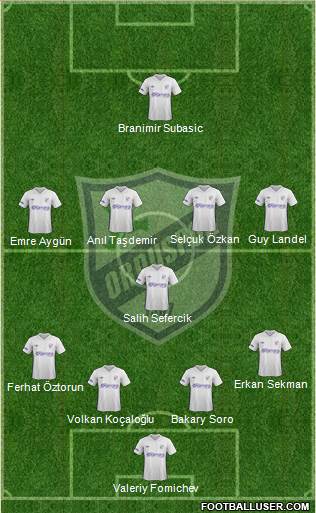 Orduspor Formation 2013
