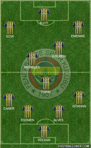 Fenerbahçe SK Formation 2013