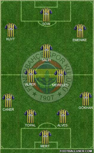 Fenerbahçe SK Formation 2013