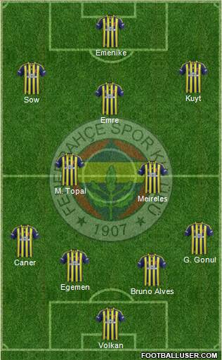 Fenerbahçe SK Formation 2013