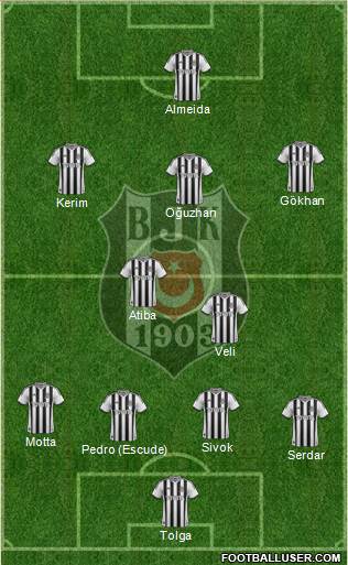 Besiktas JK Formation 2013