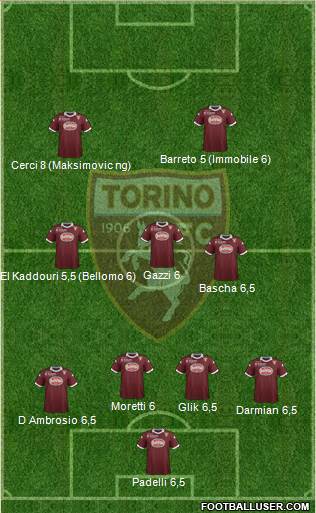 Torino Formation 2013
