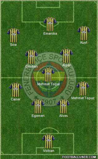 Fenerbahçe SK Formation 2013