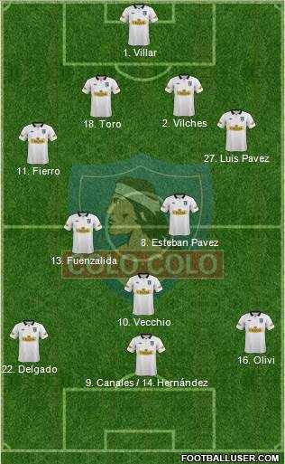 CSD Colo Colo Formation 2013