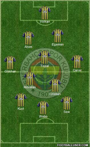 Fenerbahçe SK Formation 2013