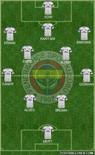 Fenerbahçe SK Formation 2013