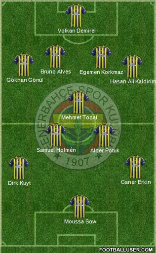 Fenerbahçe SK Formation 2013