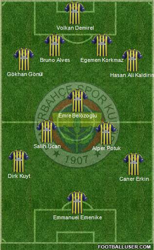 Fenerbahçe SK Formation 2013
