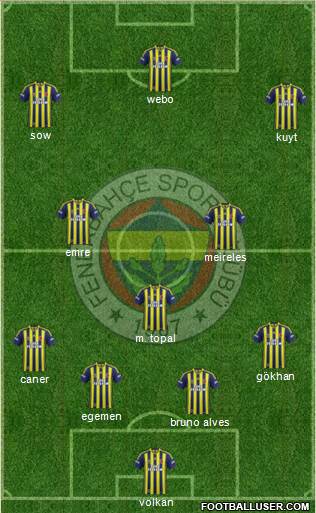Fenerbahçe SK Formation 2013