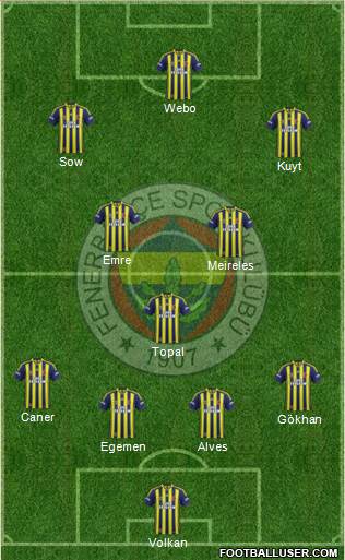 Fenerbahçe SK Formation 2013