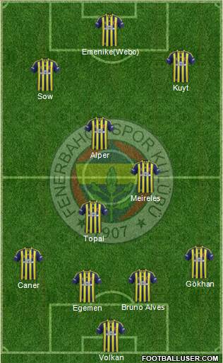 Fenerbahçe SK Formation 2013